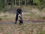 Nu är det sista momentet kvar. Under lek avlossas 2 skott och under passivitet avlossas ytterligare 2 skott för att bedömma om hunden har några rädslor kvar efter rundan. Lexi fick en 1:a på detta vilket är det bästa man kan få. Överhuvudtaget klarade Lexi rundan 